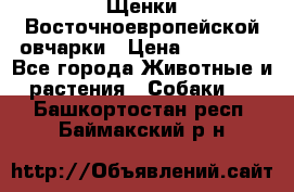 Щенки Восточноевропейской овчарки › Цена ­ 25 000 - Все города Животные и растения » Собаки   . Башкортостан респ.,Баймакский р-н